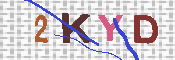 キャプチャ画像