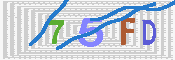 キャプチャ画像