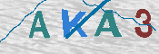 キャプチャ画像