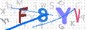 キャプチャ画像