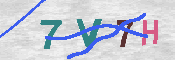 キャプチャ画像