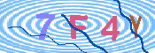 キャプチャ画像