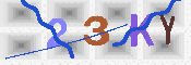 キャプチャ画像