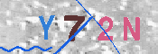 キャプチャ画像