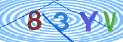 キャプチャ画像