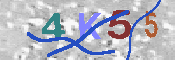 キャプチャ画像