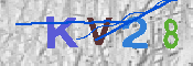 キャプチャ画像