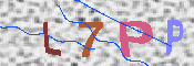 キャプチャ画像