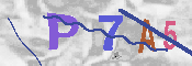 キャプチャ画像