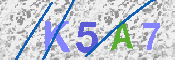キャプチャ画像