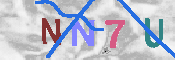 キャプチャ画像