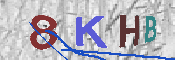 キャプチャ画像