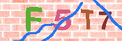 キャプチャ画像