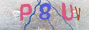 キャプチャ画像