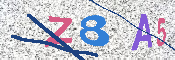 キャプチャ画像