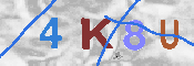 キャプチャ画像