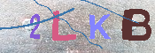 キャプチャ画像
