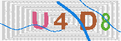 キャプチャ画像