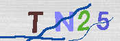 キャプチャ画像