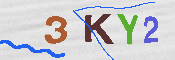 キャプチャ画像