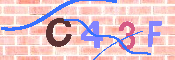 キャプチャ画像