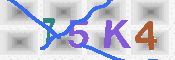 キャプチャ画像