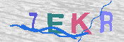 キャプチャ画像