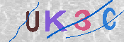 キャプチャ画像