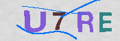キャプチャ画像