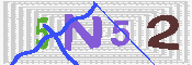キャプチャ画像