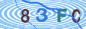 キャプチャ画像