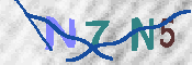 キャプチャ画像