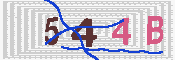 キャプチャ画像