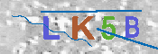 キャプチャ画像