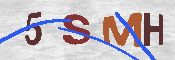 キャプチャ画像