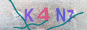 キャプチャ画像