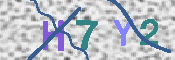 キャプチャ画像
