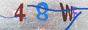 キャプチャ画像