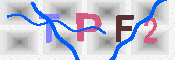 キャプチャ画像