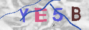 キャプチャ画像