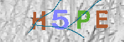 キャプチャ画像