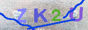 キャプチャ画像
