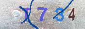 キャプチャ画像