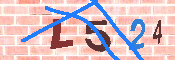 キャプチャ画像