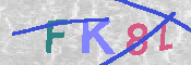キャプチャ画像
