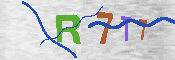 キャプチャ画像