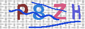 キャプチャ画像