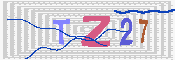 キャプチャ画像