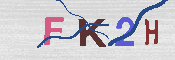 キャプチャ画像