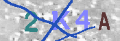 キャプチャ画像